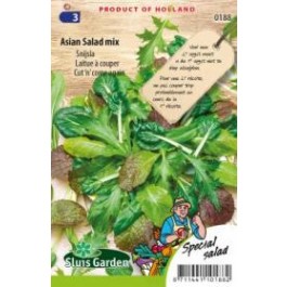 asian-salad_mix