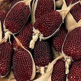 siermais_aardbeienmais