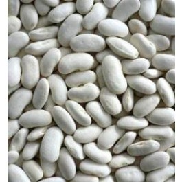 Witte-Krombek