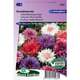 centaurea_cyanus_korenbloem_mix