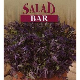 Salade_SPEEDY_Musterd_Oriental_Ruby_Streaks