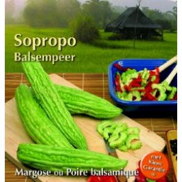 Bittere_Komkommer_Sopropo