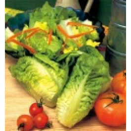 Sla_Bindsla_Little_Gem_Zaadband