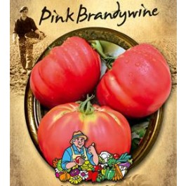 Tomaten vleestomaat Pink Brandywine