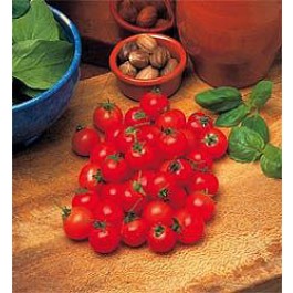 Tomaten_balkontomaat_Garden_Pearl