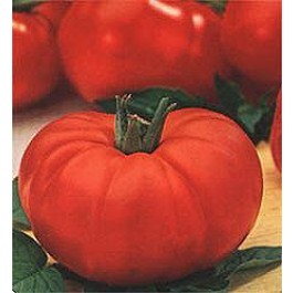 Tomaten vleestomaat Marmande