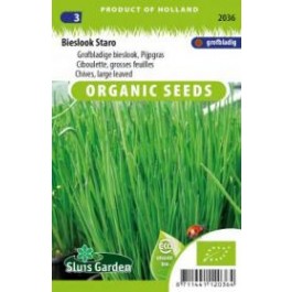 Bieslook Staro BIO
