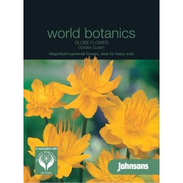 Trollius_chinensis_golden_Queen_Kogelboterbloem