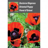 Papaver orientale als weggevertje