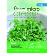 Basilicum kiemgroente Microgreens