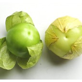 Tomatillo_Mexicaanse_Aardkers