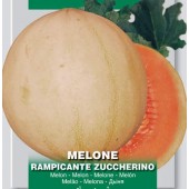 Meloen Rampicante Zuccherino