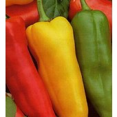 Paprika_Romano_mix