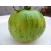 Tomaten_Green_Zebra
