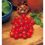 Tomaten_balkontomaat_Garden_Pearl