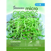 Koriander Kiemgroente Microgreens