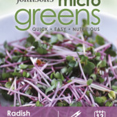 Radijs Kiemgroente Microgreens