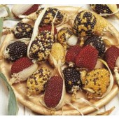 Siermais_little Jewels_mix