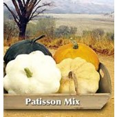 Courgette_Patisson_Mix