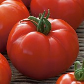 Tomaat_country_taste