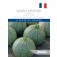 Courgette_de_Nice_a fruit_rond