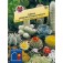 Cactus_Tropenmengsel