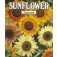 Zonnebloem_Helianthus_annuus_Sunburst_Mixed
