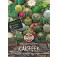 Cactus_tropenassortiment