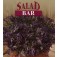 Salade_SPEEDY_Musterd_Oriental_Ruby_Streaks
