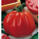 vleestomaat_Cuor_di_bue_Pomodoro