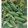 Augurken_Kleine_Groene_Scherpe