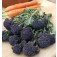Broccoli_Summer_Purple
