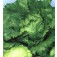 Sla_IJsbergsla_Iceberg_2