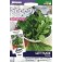 Salade _sla_osterley