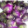 Spruitkool_rode_Rubine_rode_spruitjes