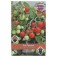 Tomaten_balkontomaten_Donna 
