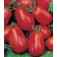 Tomaten_pomodori_Roma_VF
