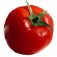 Tomaten_vleestomaat_Pyros
