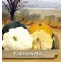 Courgette_Patisson_Mix