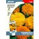 Tagetes_double_mix