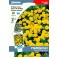 Tagetes_afrikaantje_yellow_jacket