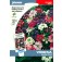 Verbena_Sparkles_mix_ijzerhard