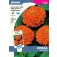 Zinnia_Orange_King